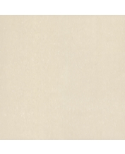 Granite Floor Tile TS1-615